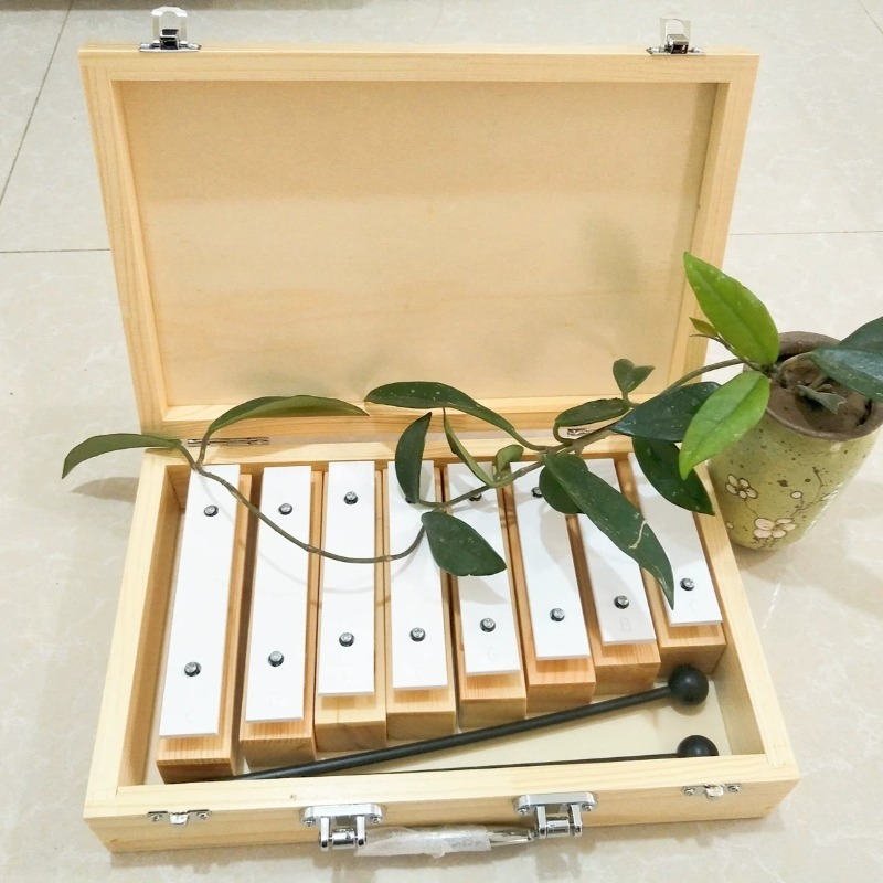 آلة موسيقية احترافية بثمانية ن - مراجعة Celesta Musical Instrument وسعره