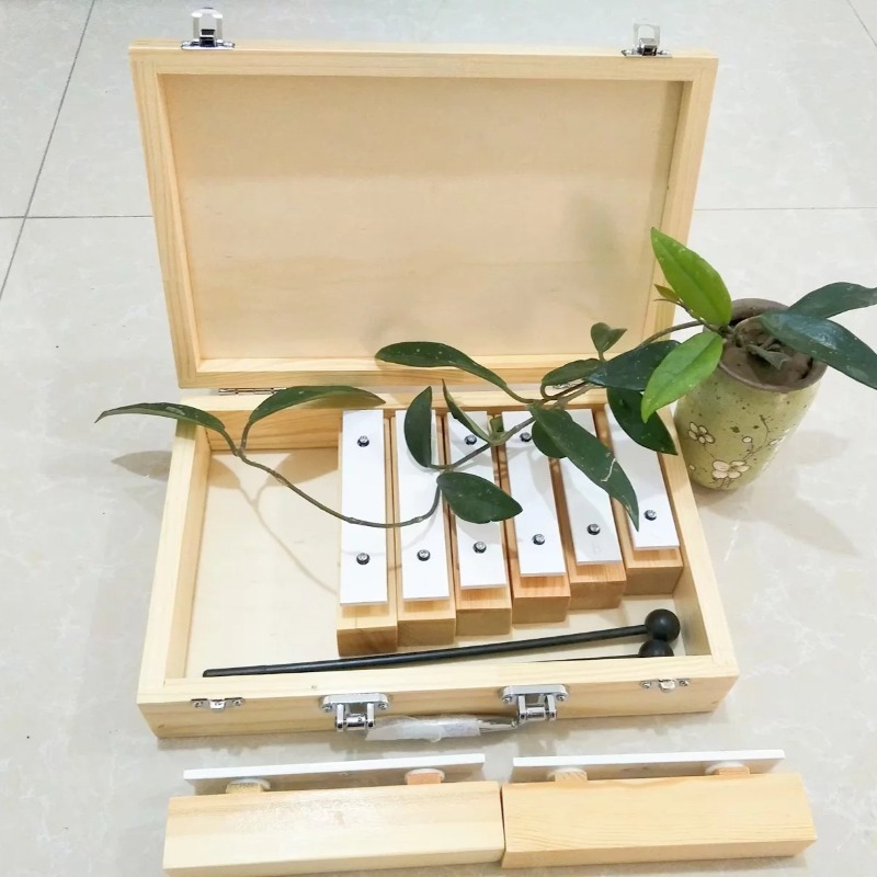 آلة موسيقية احترافية بثمانية ن - مراجعة Celesta Musical Instrument وسعره