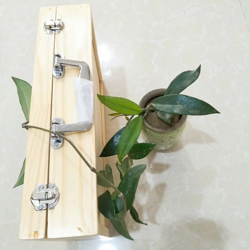 آلة موسيقية احترافية بثمانية ن - مراجعة Celesta Musical Instrument وسعره
